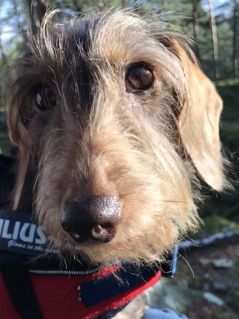 [Image: 4-C233-D2-E-7-A26-4-A13-A0-B8-028745898-AB7.jpg]