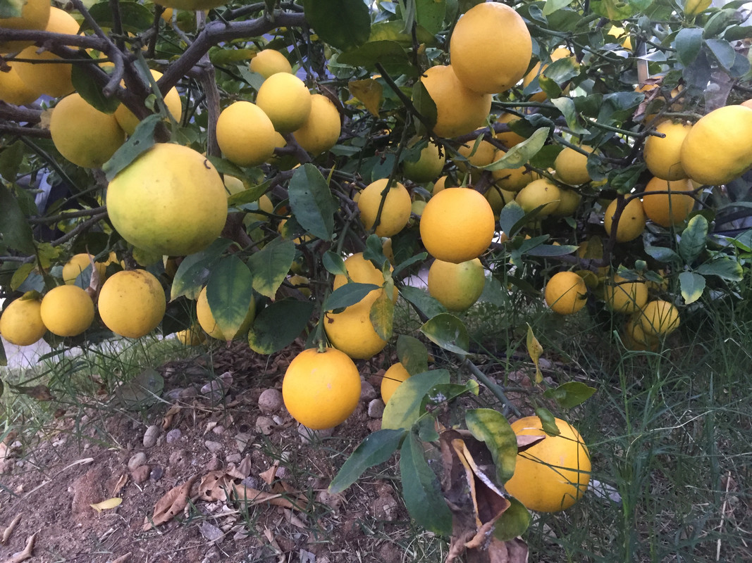 8125533C-71BE-437C-B2DE-F17AD07D3B88