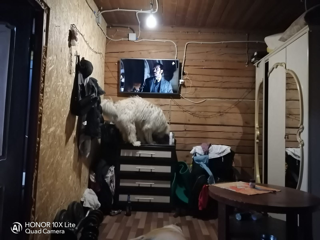 A47D2264-41F3-4F1C-A737-789A4ADAE231