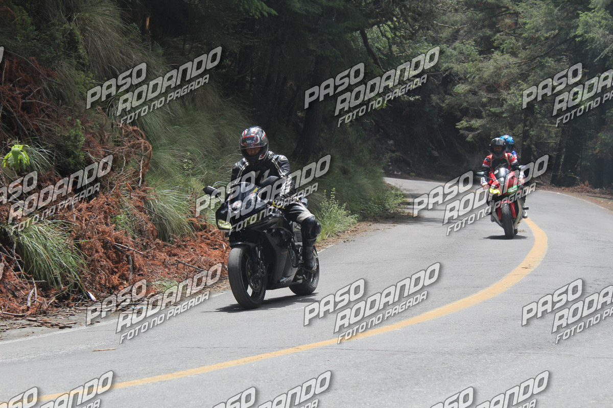 IMG 3344 wm 458381 5 watermarked — Postimages