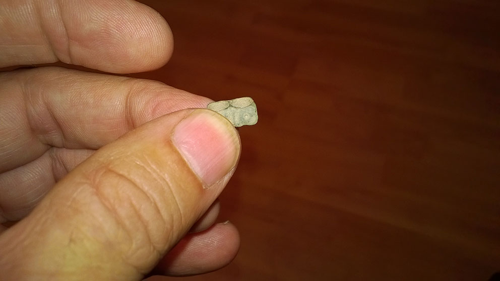 jakaja1