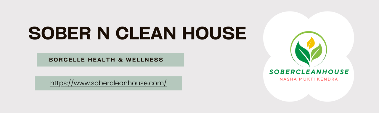 Sober N Clean House Banner