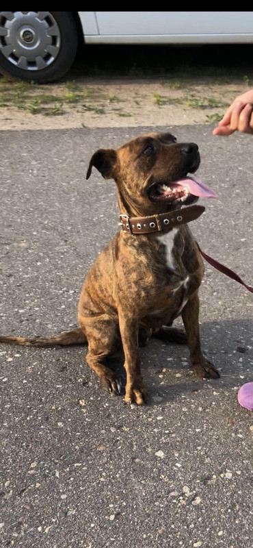 DF5F6160-4421-4928-BD1B-AE68870C2FF5