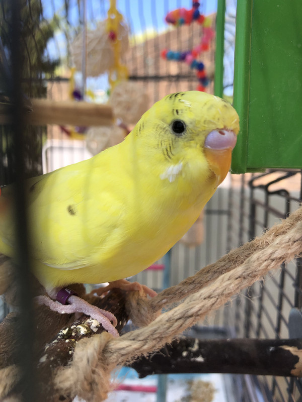 30FBA1BE-6BD9-4F0E-9AB2-BE1131AB6027