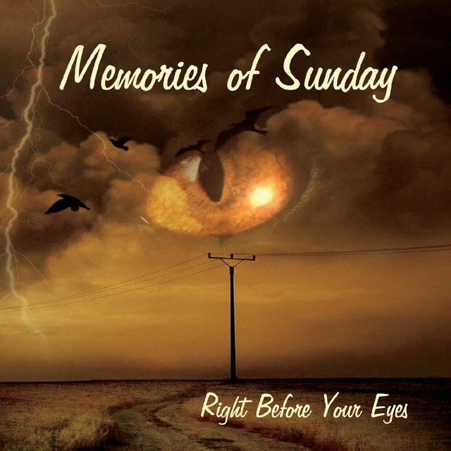 www.facebook.com/memoriesofsundayMOS