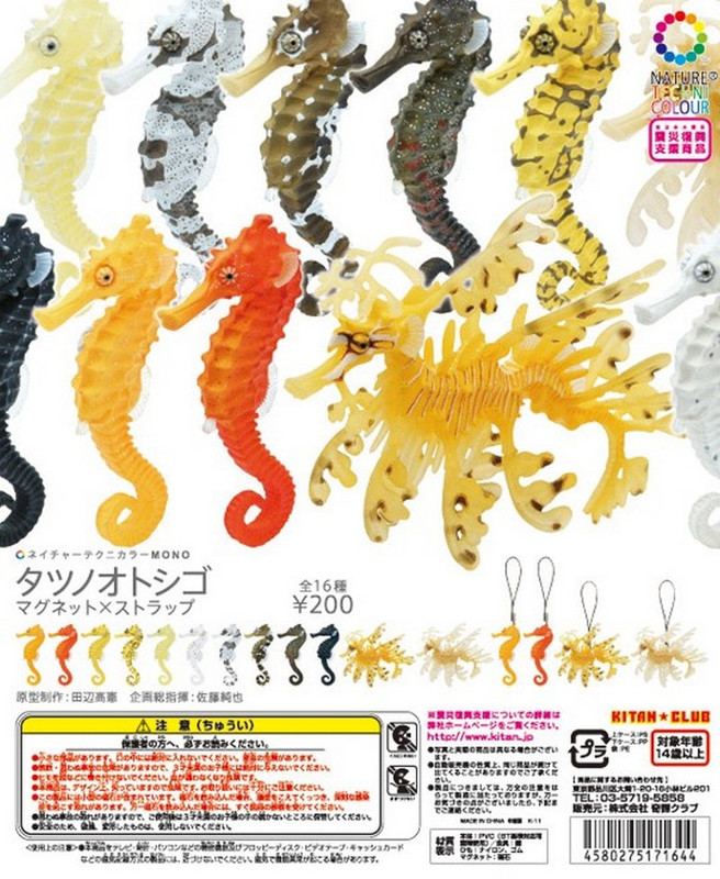 Pictures for Toy Animal Wiki - Page 32 Ikimonseahorses