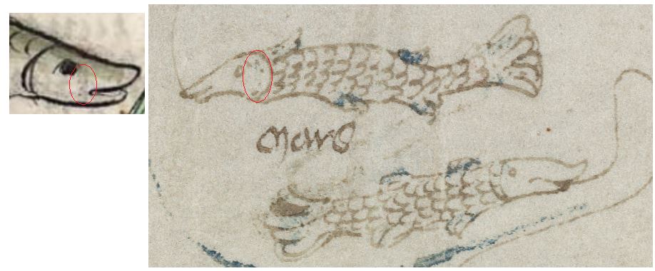 [Image: spot.jpg]