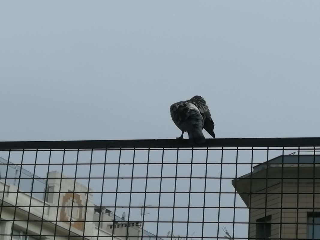 IMG-993e9e9be4a1e54cb6707c34c1c9acc1-V-1