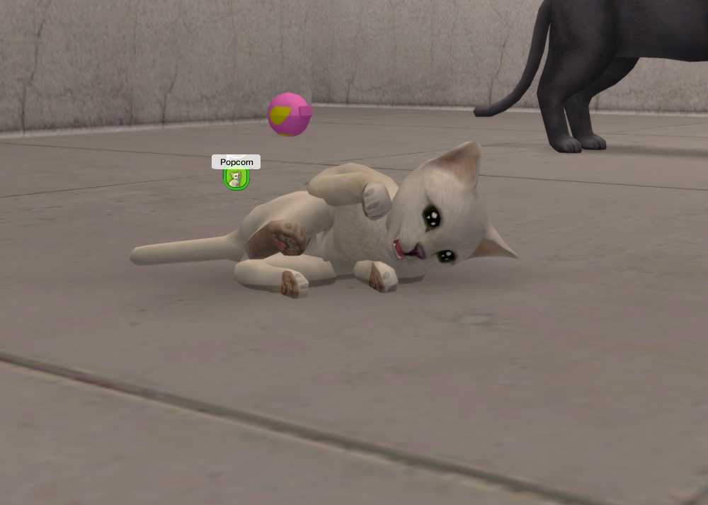 Sims2-EP9-RPC-2021-11-06-16-15-51-14
