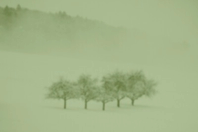 6ff0aa55 b179 40f8 b49b 685ca37589ee