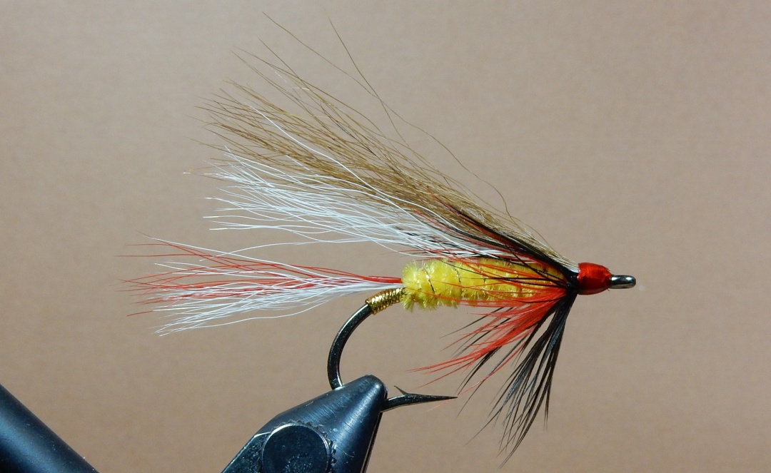 bucktail fly