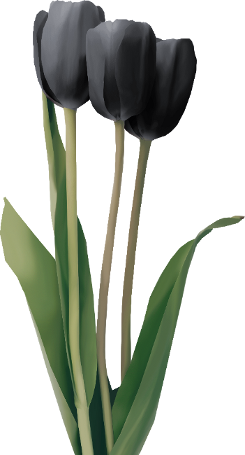 Autumn Witchery (116)