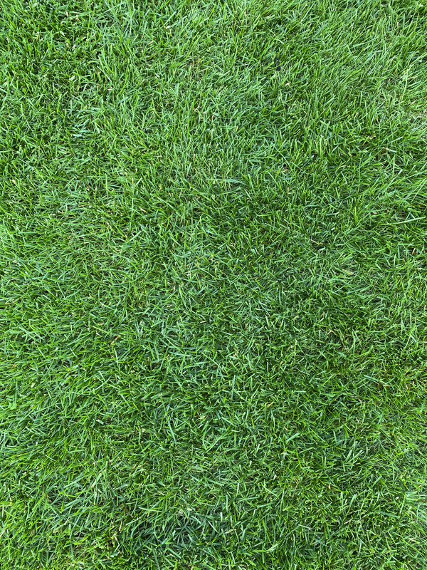 C8CBED9B-2F75-44E6-8902-A9E38E89964B