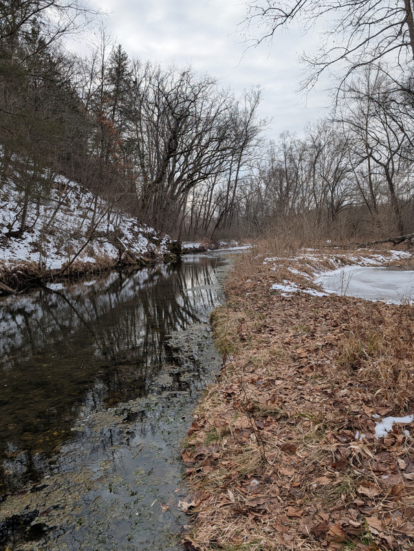 PXL 20260205 162105918 MP