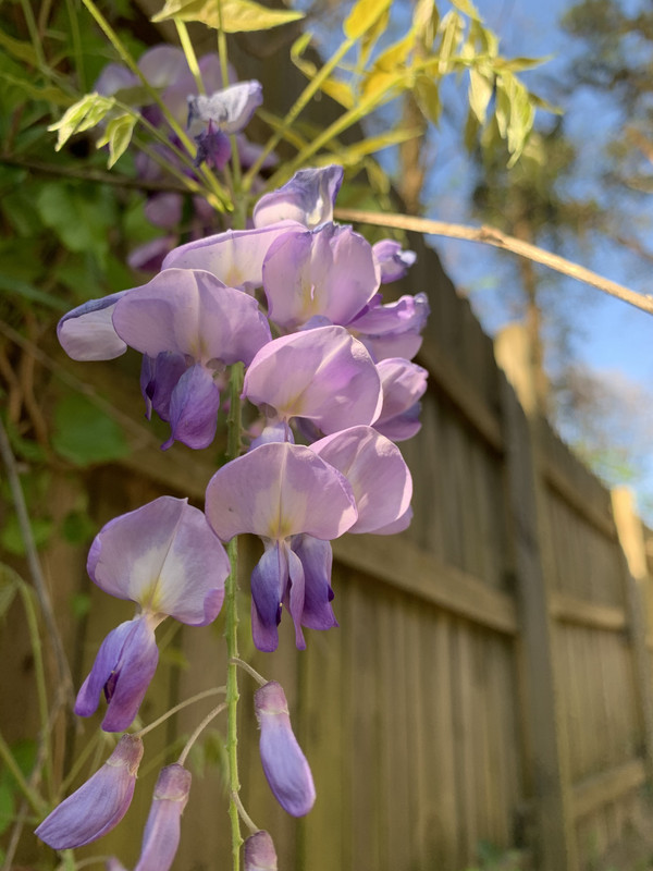 2584B5C8-CEFE-405C-8E02-7A3C42836C6B