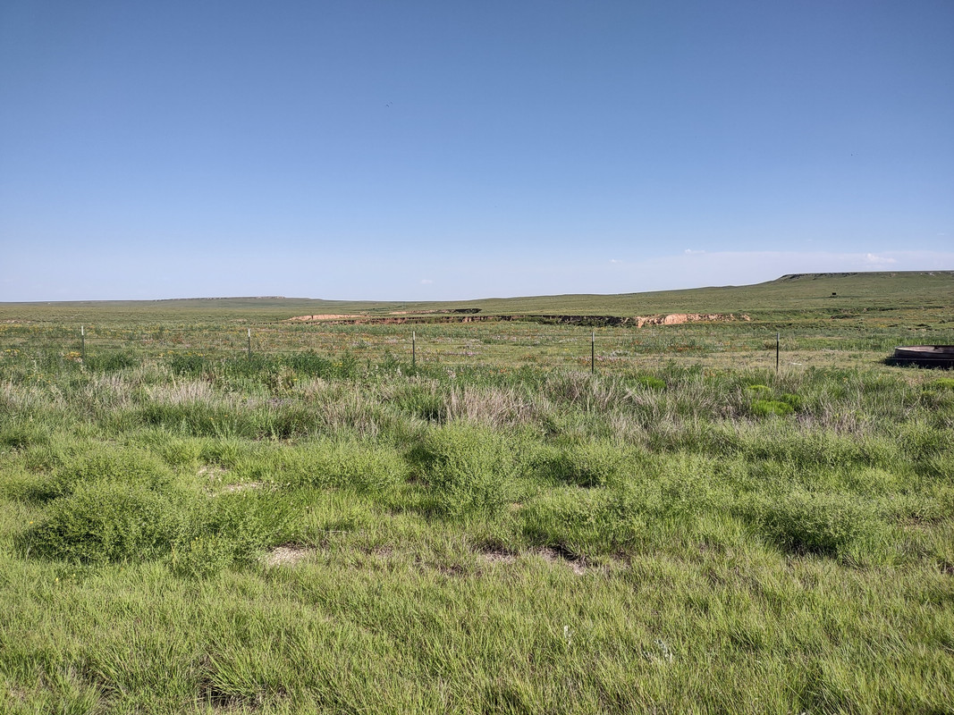 IMG_20250613_175750866_HDR
