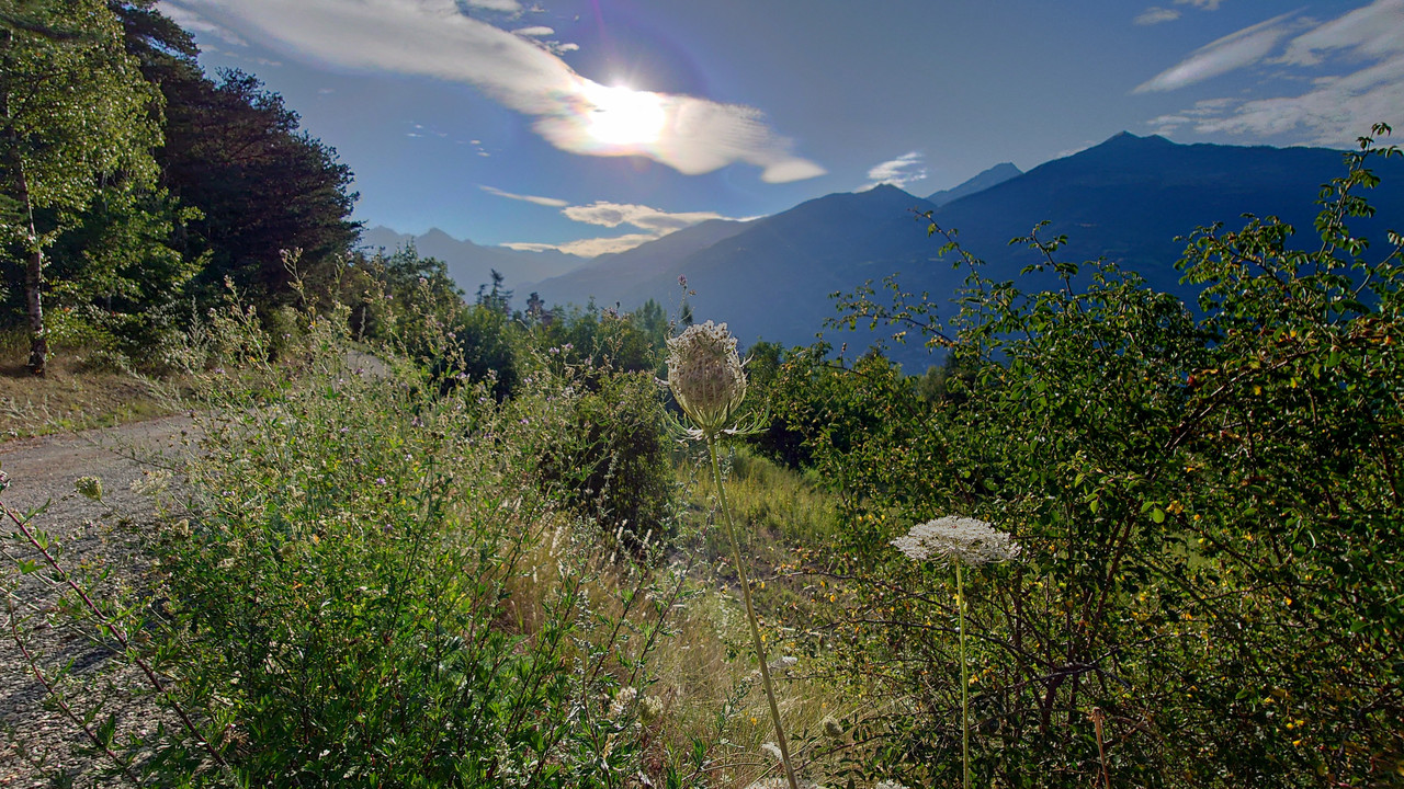 20210806-191022.jpg