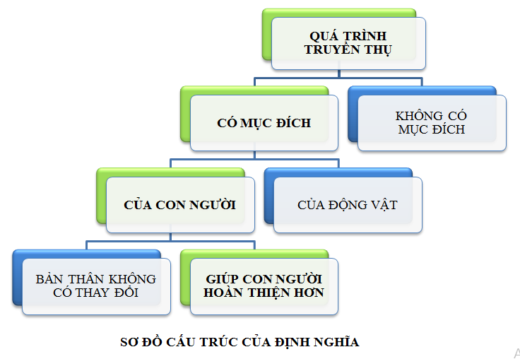 PHAN THỊ MAI TRÂM - SƠ ĐỒ CẤU TRÚC CỦA ĐỊNH NGHĨA