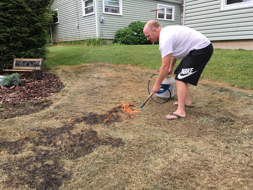 FB772663-937C-4539-91D8-D1D94A4557F8