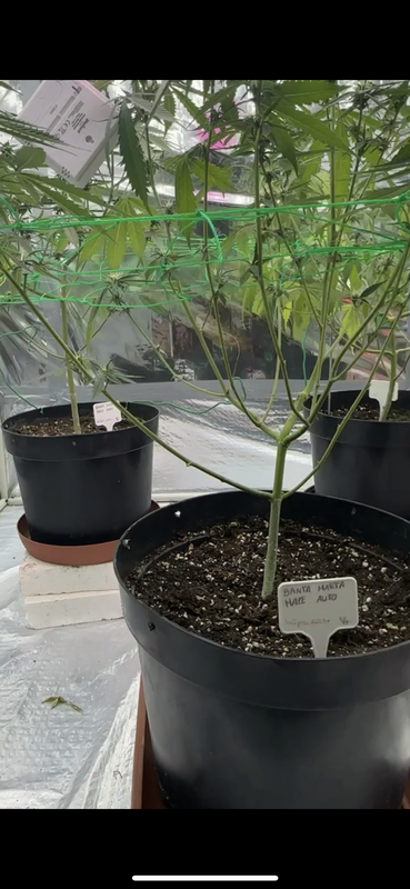 C7CEF11E-C0A7-4D05-B7C1-91DD29D5A0B2