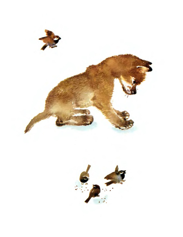 p0002