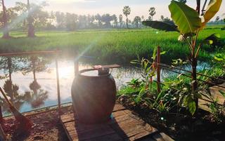 Thơ hoạ Nguyễn Thành Sáng & Tam Muội (1108) 33-15244809301421402749942