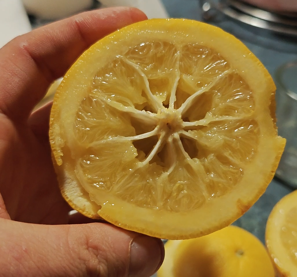 Citrus Morton