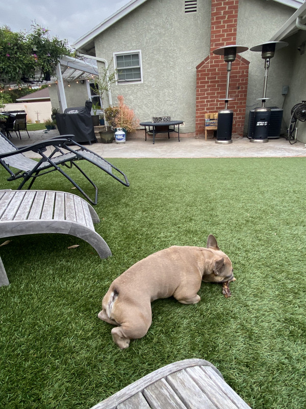 F9351AB4-52FC-4271-8382-7A32D059564A