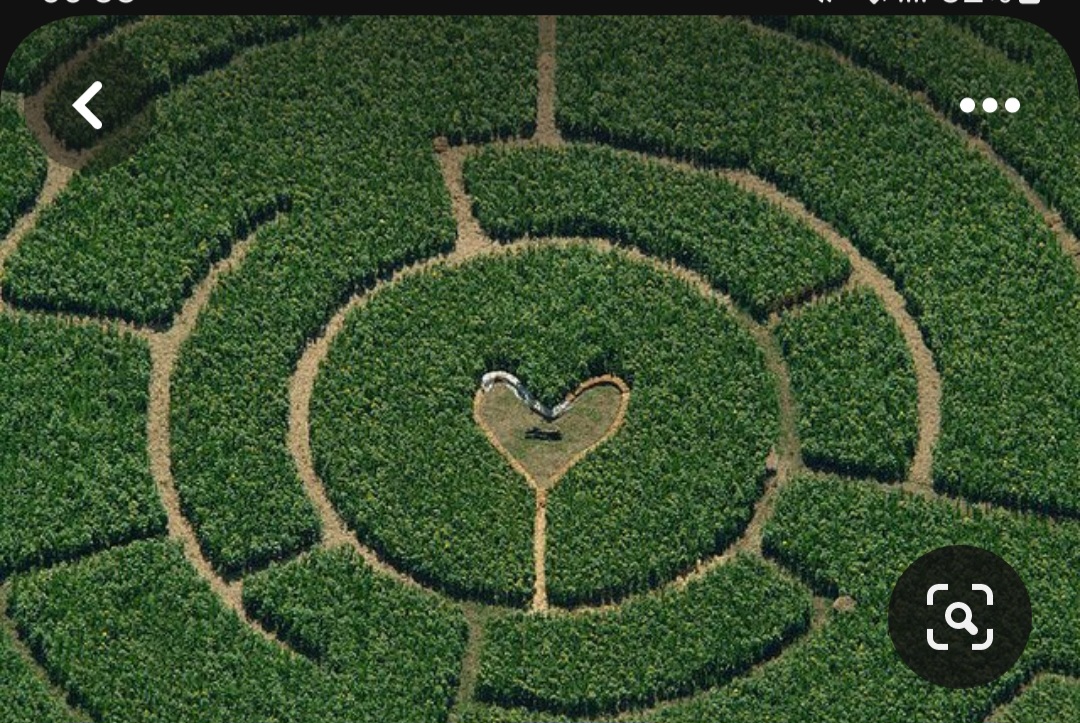 Screenshot_20240212_003820_Pinterest