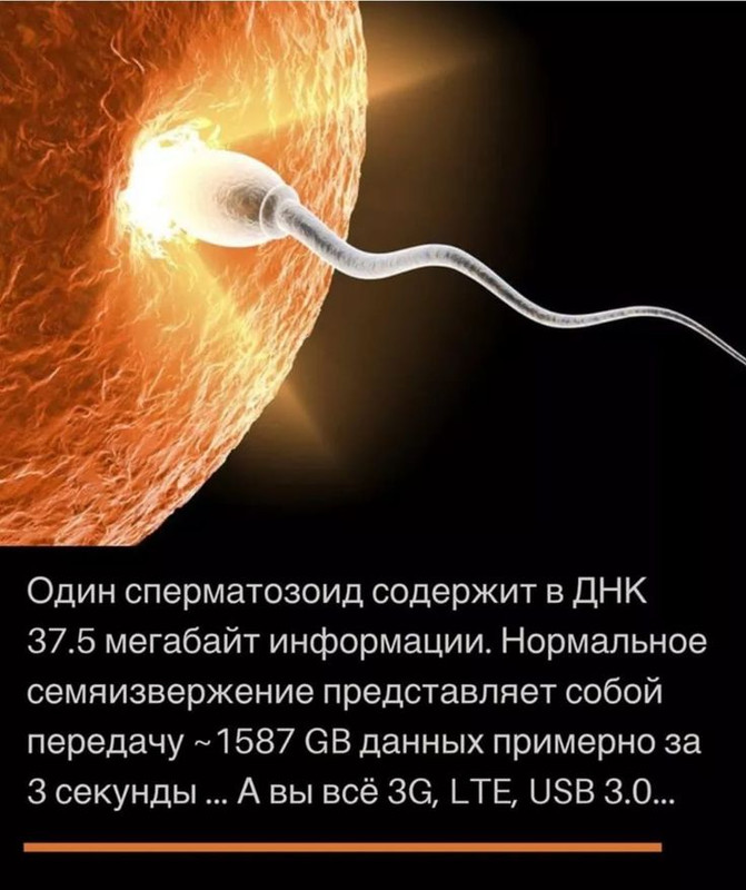 [Изображение: fb5b5632eb591ebbe3e2c8e426a9c825.jpg]