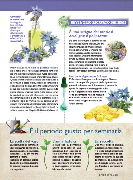 Salute Nat Apr 2020 (10)