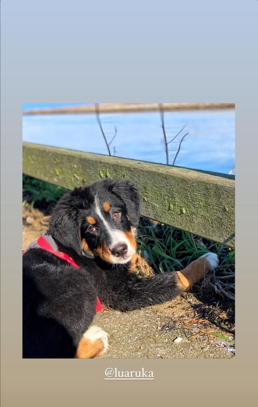 Screenshot_20210108_122917