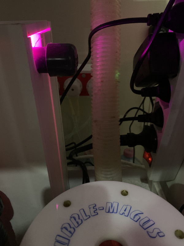 51B0F4B8-E895-48CB-82F3-7233E8D95269