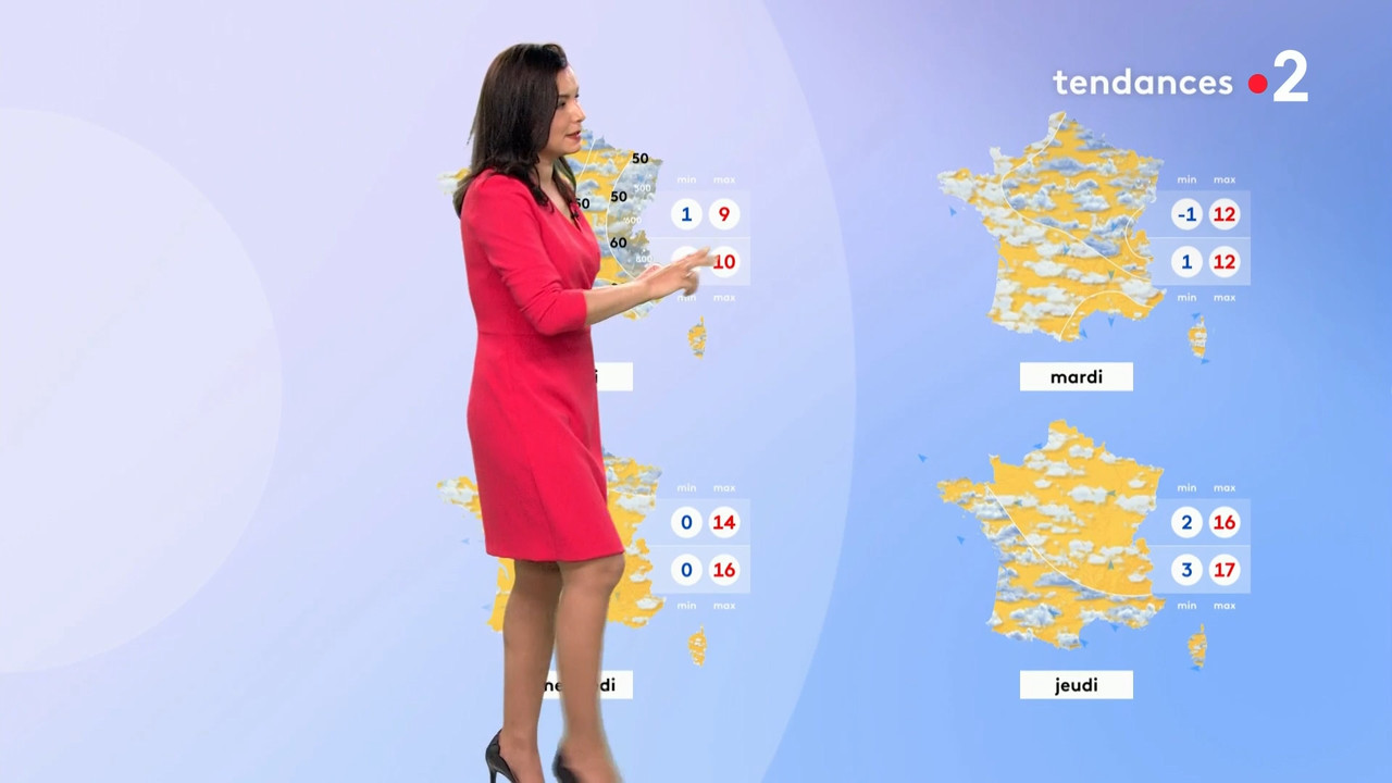 2021-04-09_20_35_Fr2_Meteo.mp4_snapshot_08.48.161