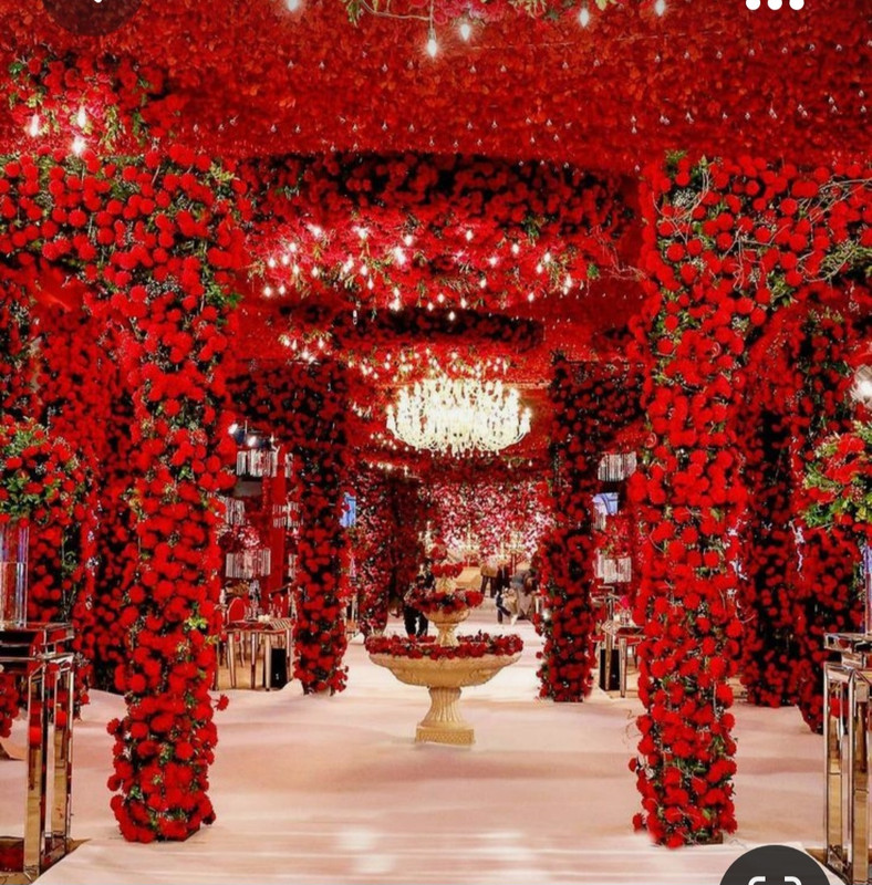 Screenshot_20231006_202249_Pinterest