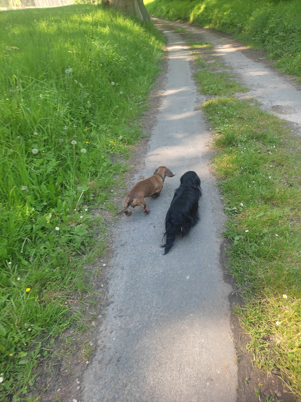 [Image: IMG-20240511-170308.jpg]