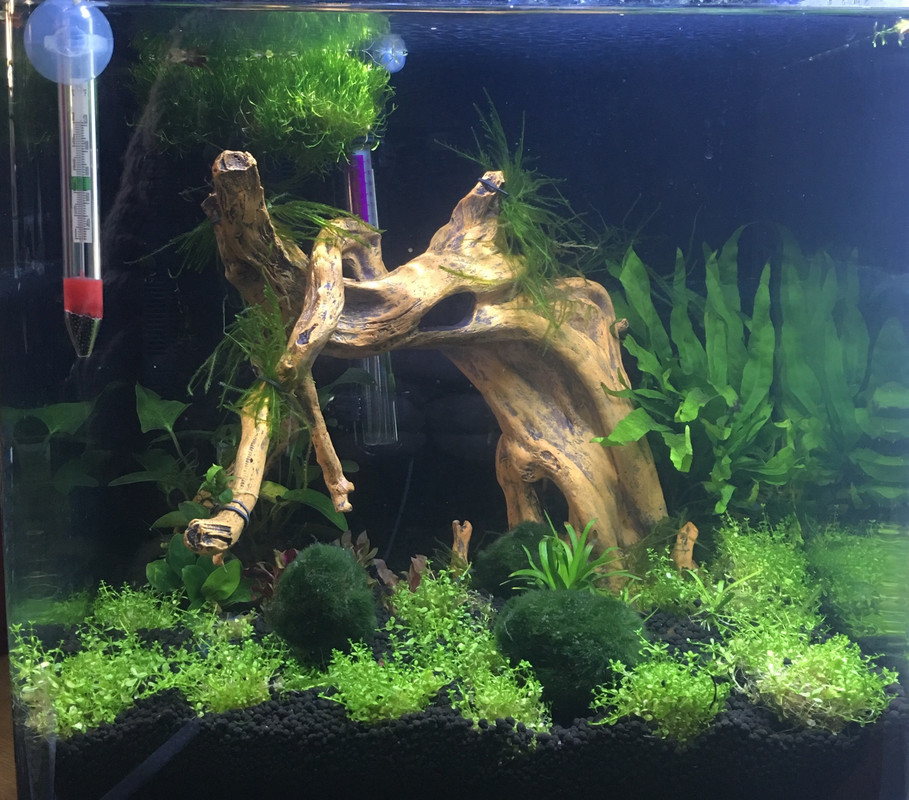 63ECF2F4-2617-45AD-BE7B-E86E87DF7F55