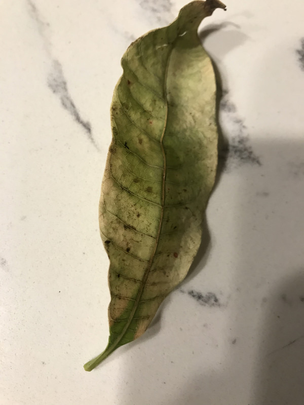 7940A97B-EA26-48FE-98D1-D8510FE9F9E2