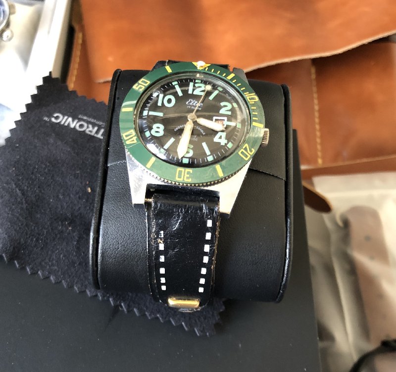 Eltic_6