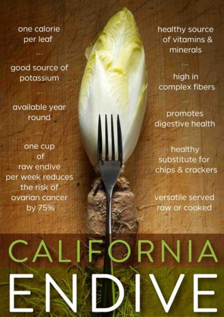 [Image: Endive-Infographic.jpg]