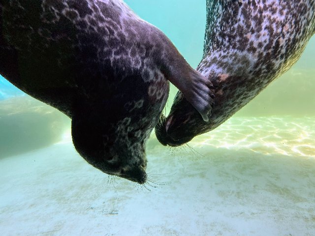 A9-C3-BB28-89-C7-4288-849-B-7-D538-A2854