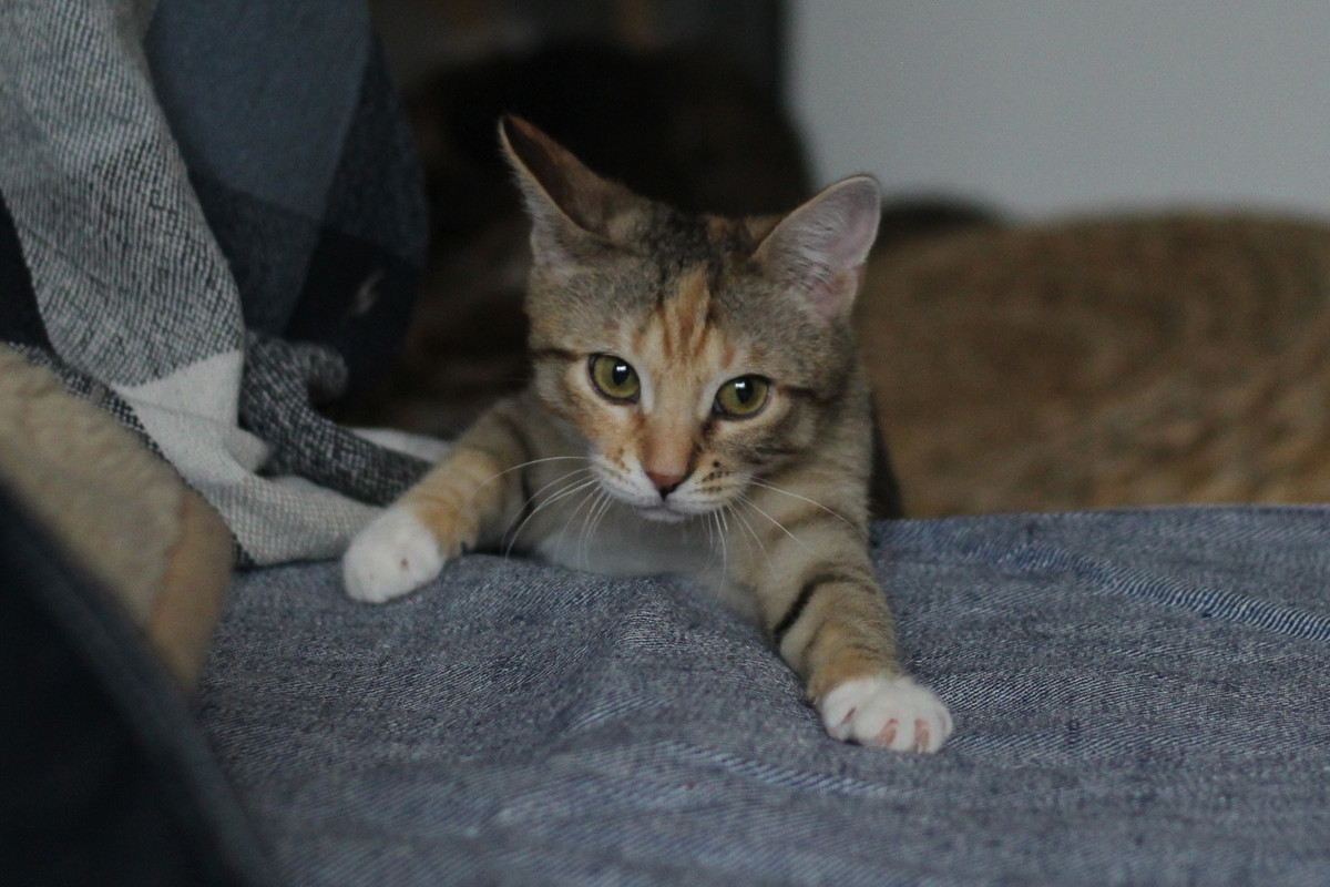 IMG_2304 — копия