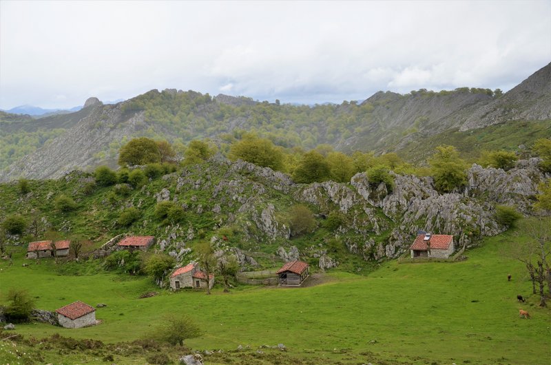 PICOS DE EUROPA-16-5-2013-LEON/ASTURIAS/CANTABRIA - Paseando por España-1991/2016 (8)