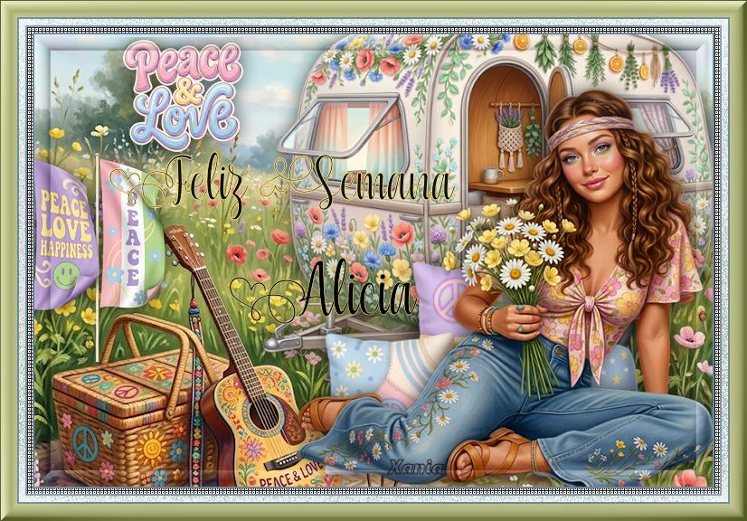 xania 221