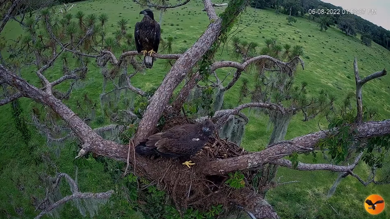 EC 4K Overhead Cam 12-40-50 screenshot