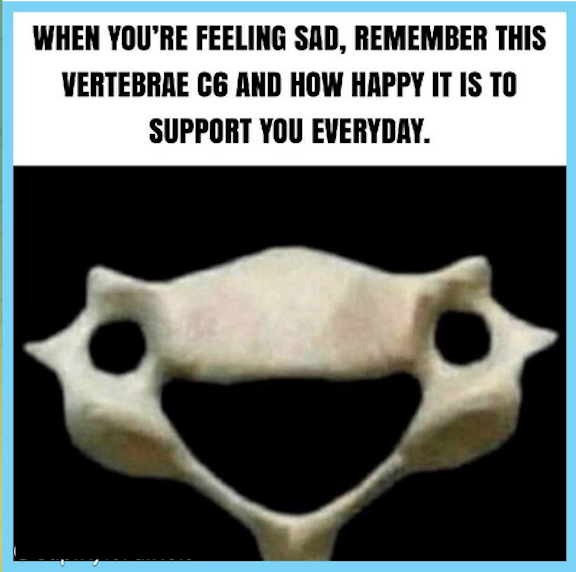 vc6.png