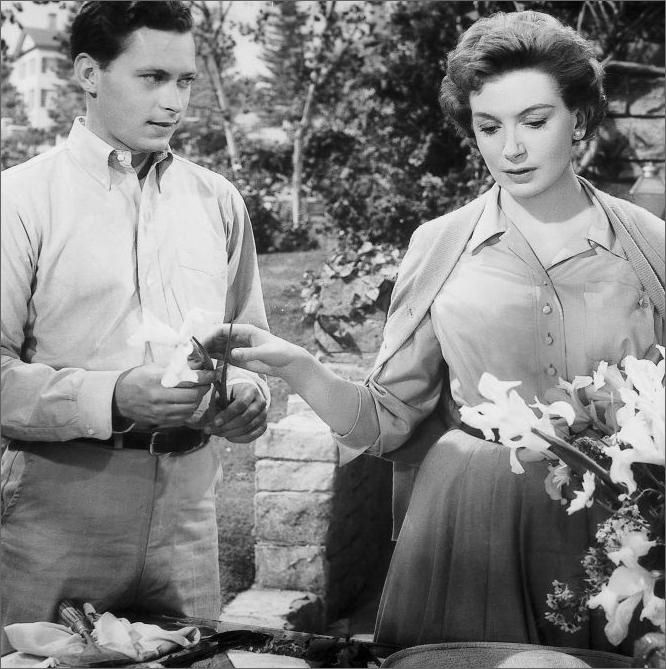 Deborah_Kerr_mb49