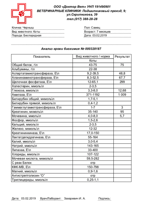 1BF5774B-75FF-4D65-AA17-6810DA963762