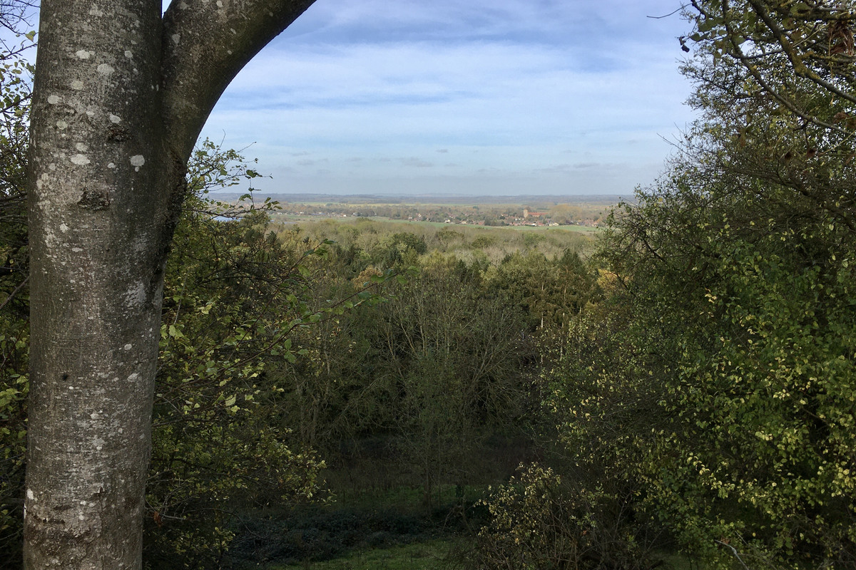 9ABCD79A-8226-49EE-8DDC-2080DD623EF3