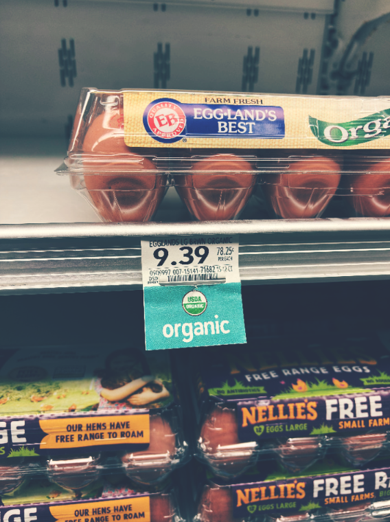 A dozen eggs in a carton on a shelf in the supermarket